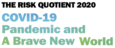 Risk Quotient 2020.png